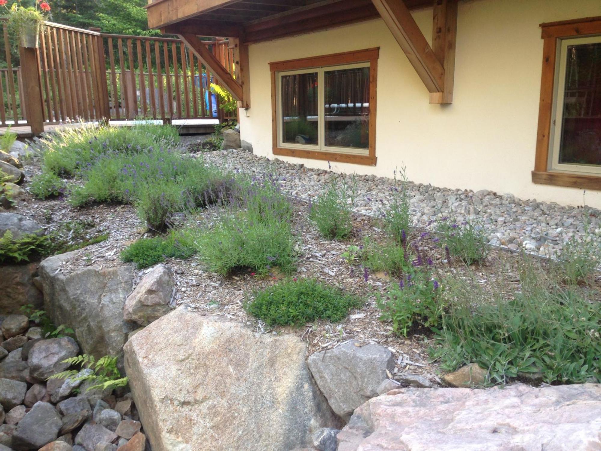 Escale Du Nord Bed & Breakfast Mont-Tremblant Ngoại thất bức ảnh